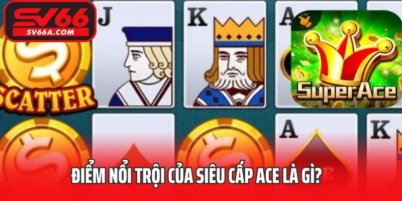Điểm nổi trội của siêu cấp ACE là gì?