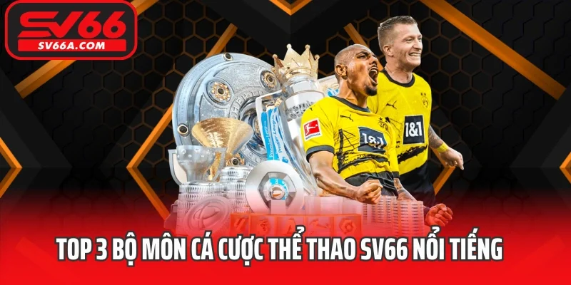 Top 3 bộ môn cá cược thể thao SV66 nổi tiếng và thu hút